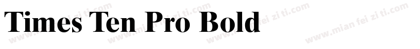 Times Ten Pro Bold字体转换